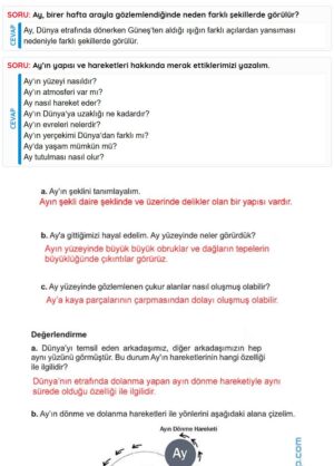 5. Sınıf Fen Bilimleri 1. Kitap Sayfa 25 26 27 29 30 Cevapları Meb