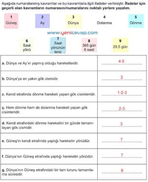 5. Sınıf Fen Bilimleri 1. Kitap Sayfa 48 49 50 51 52 Cevapları Meb