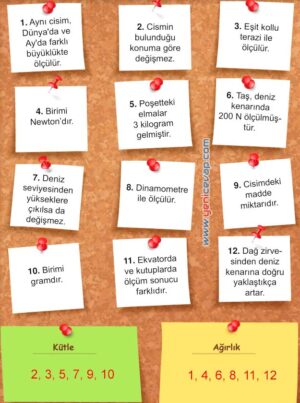 5. Sınıf Fen Bilimleri 1. Kitap Sayfa 71 73 74 75 76 Cevapları Meb