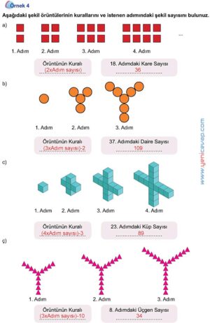 5. Sınıf Matematik 2. Kitap Sayfa 145 146 147 148 Cevapları Meb