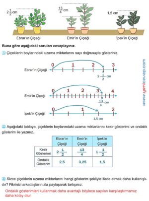 5. Sınıf Matematik 2. Kitap Sayfa 30 31 32 33 Cevapları Meb