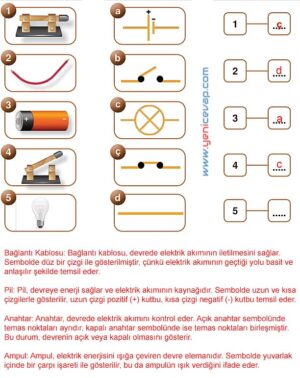 5. Sınıf Fen Bilimleri 2. Kitap Sayfa 105 106 107 108 109 Cevapları Meb