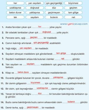 5. Sınıf Fen Bilimleri 2. Kitap Sayfa 36 37 38 43 44 45 Cevapları Meb