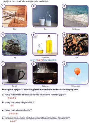 5. Sınıf Fen Bilimleri 2. Kitap Sayfa 61 62 63 64 65 66 67 Cevapları Meb