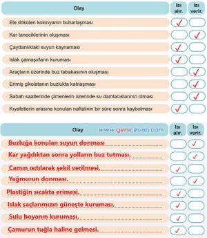 5. Sınıf Fen Bilimleri 2. Kitap Sayfa 76 77 78 79 80 Cevapları Meb