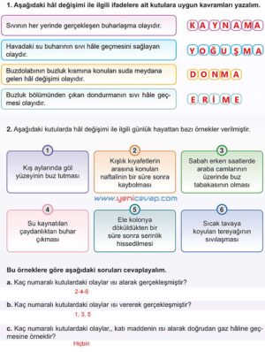 5. Sınıf Fen Bilimleri 2. Kitap Sayfa 83 84 85 86 87 88 90 91 Cevapları Meb
