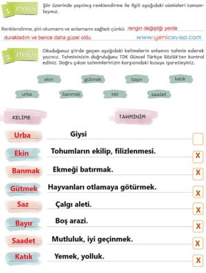 5. Sınıf Türkçe 1. Kitap Sayfa 159 160 161 162 Cevapları Meb