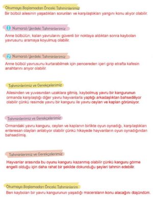5. Sınıf Türkçe 1. Kitap Sayfa 22 23 24 25 26 30 Cevapları Meb