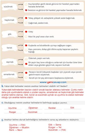 5. Sınıf Türkçe 1. Kitap Sayfa 52 56 57 58 Cevapları Meb