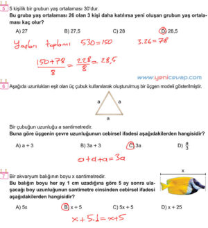 6. Sınıf Matematik Kitabı Sayfa 203 204 205 206 207 Cevapları Meb