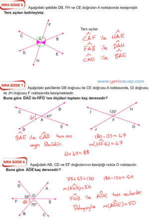 6. Sınıf Matematik Kitabı Sayfa 219 220 221 222 223 224 Cevapları Meb
