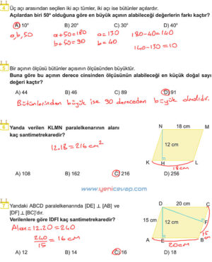 6. Sınıf Matematik Kitabı Sayfa 248 249 250 251 252 Cevapları Meb