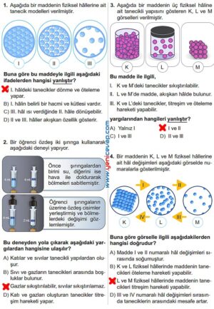 6. Sınıf Fen Bilimleri Kitabı Sayfa 97 98 99 100 101 102 Cevapları Meb