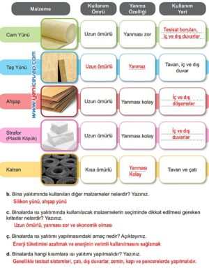 6. Sınıf Fen Bilimleri Kitabı Sayfa 113 114 115 116 117 Cevapları Meb