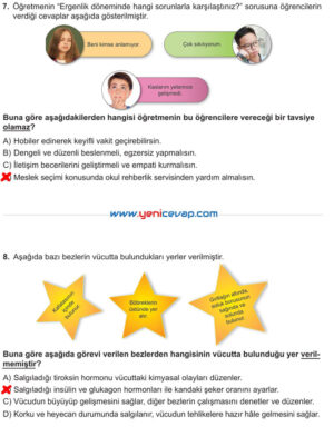 6. Sınıf Fen Bilimleri Kitabı Sayfa 193 194 195 196 197 Cevapları Meb