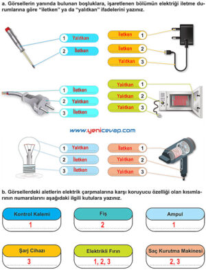 6. Sınıf Fen Bilimleri Kitabı Sayfa 198 200 201 202 203 Cevapları Meb