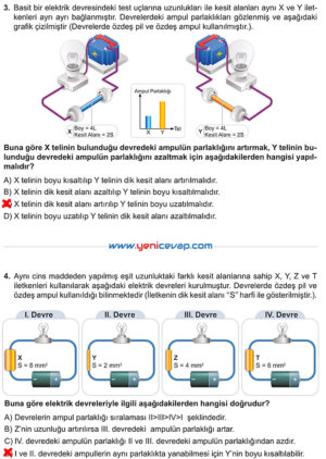 6. Sınıf Fen Bilimleri Kitabı Sayfa 216 217 218 219 220 Cevapları Meb