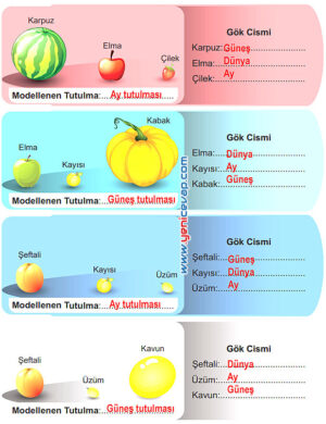 6. Sınıf Fen Bilimleri Kitabı Sayfa 22 23 24 25 26 Cevapları Meb