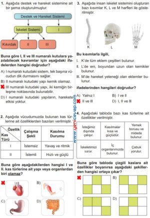 6. Sınıf Fen Bilimleri Kitabı Sayfa 32 34 35 36 37 38 Cevapları Meb