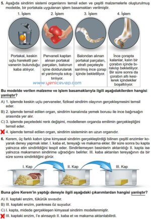 6. Sınıf Fen Bilimleri Kitabı Sayfa 44 45 46 47 48 Cevapları Meb