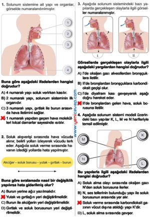 6. Sınıf Fen Bilimleri Kitabı Sayfa 59 60 61 62 63 Cevapları Meb