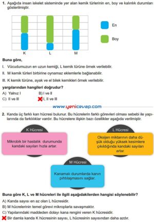 6. Sınıf Fen Bilimleri Kitabı Sayfa 64 65 66 67 68 69 Cevapları Meb