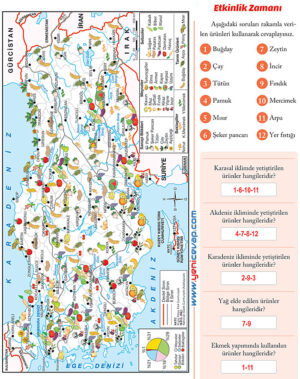 6. Sınıf Sosyal Bilgiler Kitabı Sayfa 114 115 116 117 118 120 121 Cevapları Evos