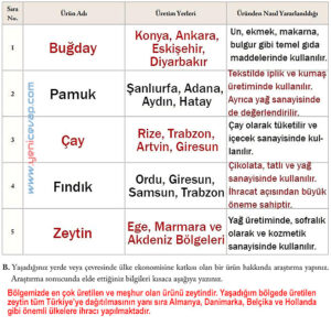 6. Sınıf Sosyal Bilgiler Kitabı Sayfa 162 163 164 165 166 167 Cevapları Evos