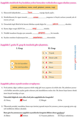 6. Sınıf Sosyal Bilgiler Kitabı Sayfa 196 197 198 199 200 201 202 203 Cevapları Evos