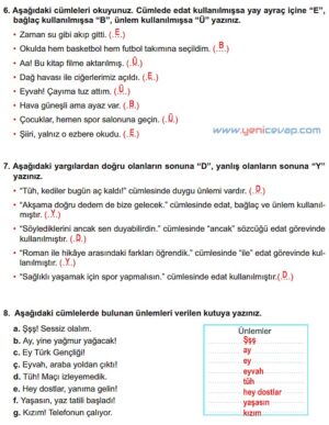 6. Sınıf Türkçe Kitabı Sayfa 227 229 230 231 232 Cevapları Meb