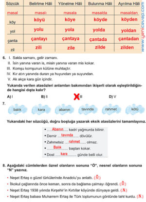 6. Sınıf Türkçe Kitabı Sayfa 43 44 46 47 48 49 Cevapları Meb