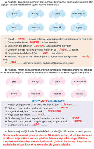 6. Sınıf Türkçe Kitabı Sayfa 95 96 98 99 100 101 Cevapları Meb