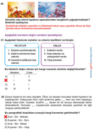 7. Sınıf Din Kültürü Kitabı Sayfa 37 38 39 41 46 54 56 58 Cevapları Meb