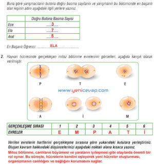 7. Sınıf Fen Bilimleri Kitabı Sayfa 46 47 50 51 52 53 54 55 56 61 Cevapları Meb