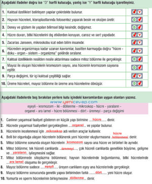 7. Sınıf Fen Bilimleri Kitabı Sayfa 62 63 64 66 67 68 69 Cevapları Meb