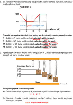 7. Sınıf Fen Bilimleri Kitabı Sayfa 80 82 83 84 85 86 87 88 Cevapları Meb