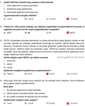 7. Sınıf Sosyal Bilgiler Kitabı Sayfa 272 273 274 275 Cevapları Yıldırım
