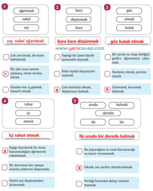 7. Sınıf Türkçe Kitabı Sayfa 118 119 120 121 122 123 124 Cevapları Meb