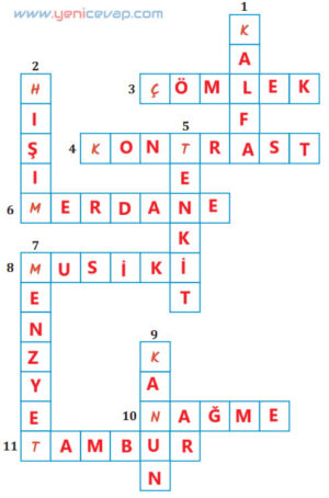 7. Sınıf Türkçe Kitabı Sayfa 238 240 241 242 244 245 246 247 Cevapları Meb